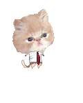 Derpy Kitty's avatar
