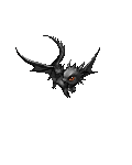 The Little Black Dragon's avatar