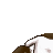 Bunnychaser's avatar