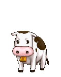 Cowie Cow