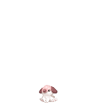 BunBunXD