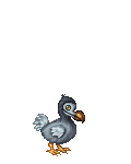 the dodo of the season's avatar