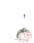 ChezaGrace