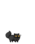 The Black Puss Puss's avatar
