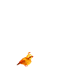 Aeryllir