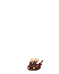 KukiChiori