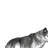 Snerzel's avatar