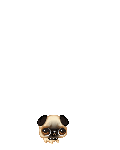 Morio112
