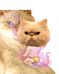it sinki