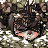 Purrgis's username