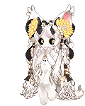 Quinn
