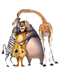The Madagascar Crew II