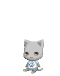 rabbitbox