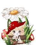 a humble cardamom pod's avatar