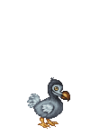 PROXY BIRD's avatar