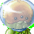 jellyfish gurl's avatar