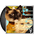 sdrawkcab's avatar