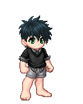 + [ h i k a r i ] +'s avatar