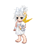 xChrysanthemum