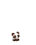 cute widdle teddy 's avatar