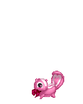 Cute Pink Kitty 69