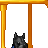 dog's username