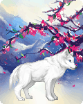 Winters Moon Shadow's avatar