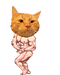 a buff cat man's avatar
